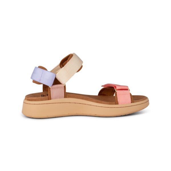 WL926 - Line - 373 Butter Multi - Extra 3